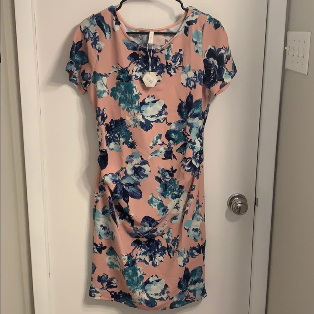 Pink Blush Floral Maternity Dress
